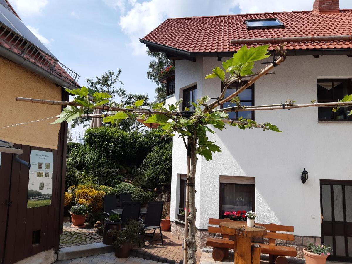 Ferienwohnung Reissmann Heinsdorfergrund Dış mekan fotoğraf